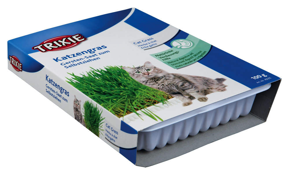 Trixie Katzengras zum Selberziehen Schale / 100g