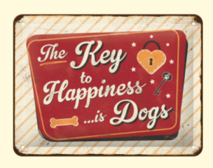 Bild von Artikel Key to Happiness - Blechschild 15x20cm